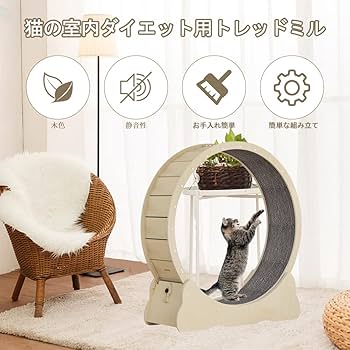 Amazon | ROCOMOCO キャットホイール 猫 回し車 ランニングホイール 自