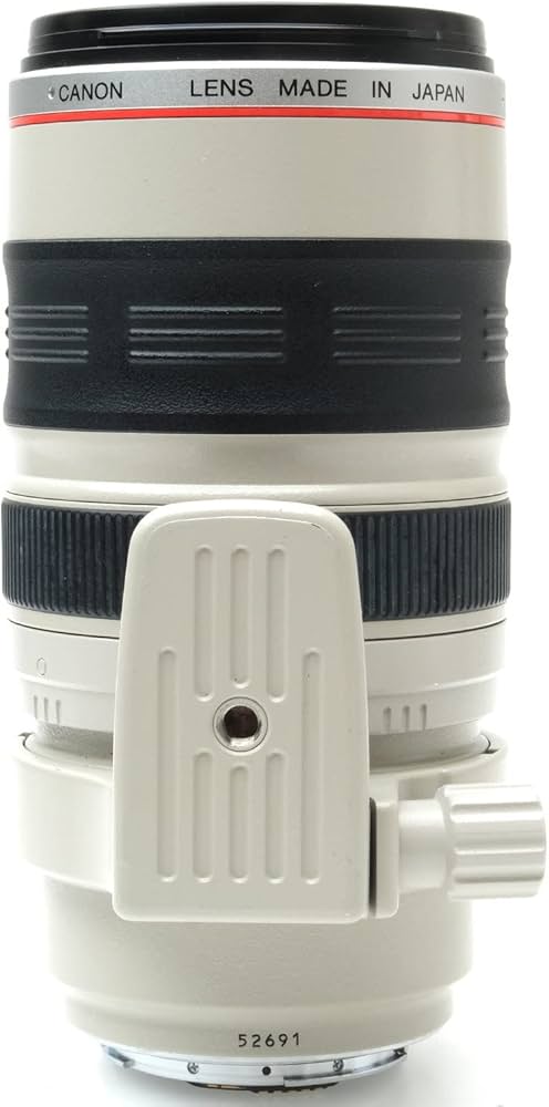 Amazon.co.jp: Canon EF 35-350mm f/3.5-5.6L USM Zoom Lens : 家電