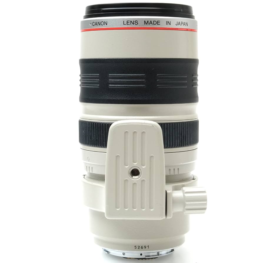 Canon EF 35-350mm f/3.5-5.6L USM Zoom Lens : Amazon.ca