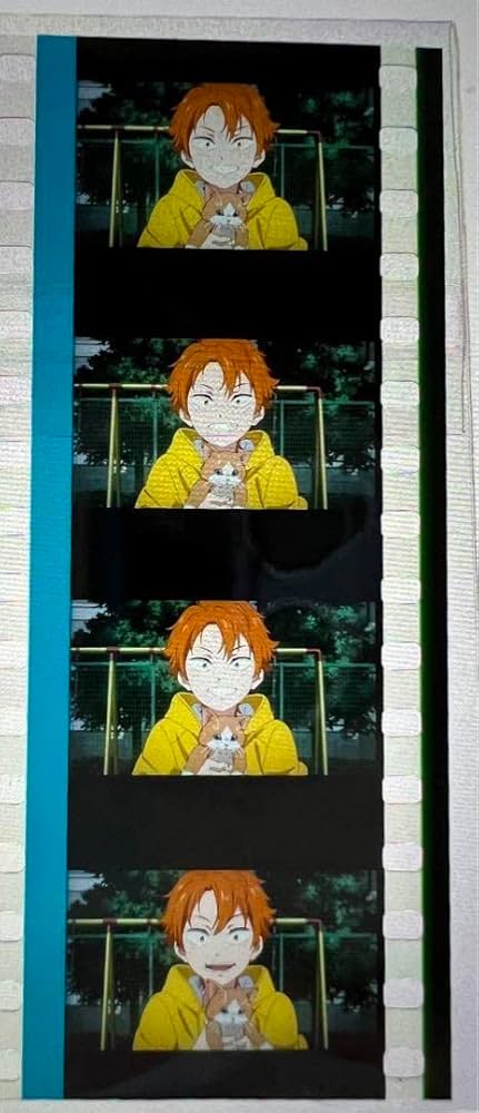 Free 金城楓 ポストカード 341枚 Free 金城楓 ポストカード 341枚