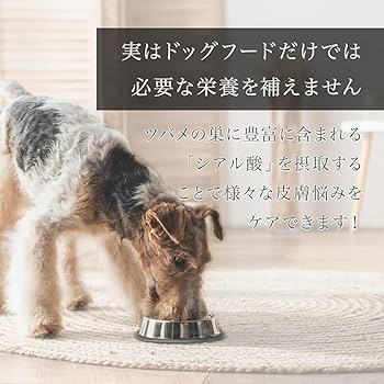 Amazon | MIRANEST ミラネストパウダー FOR DOG ｜ ペット用 被毛ケア