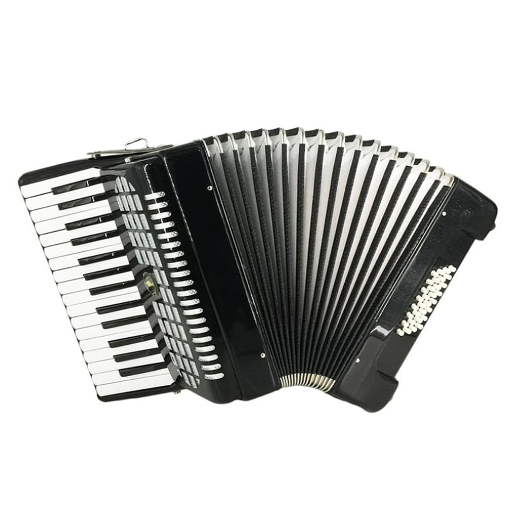 Amazon.co.jp: BailingDS アコーディオン 25キー 16ベース