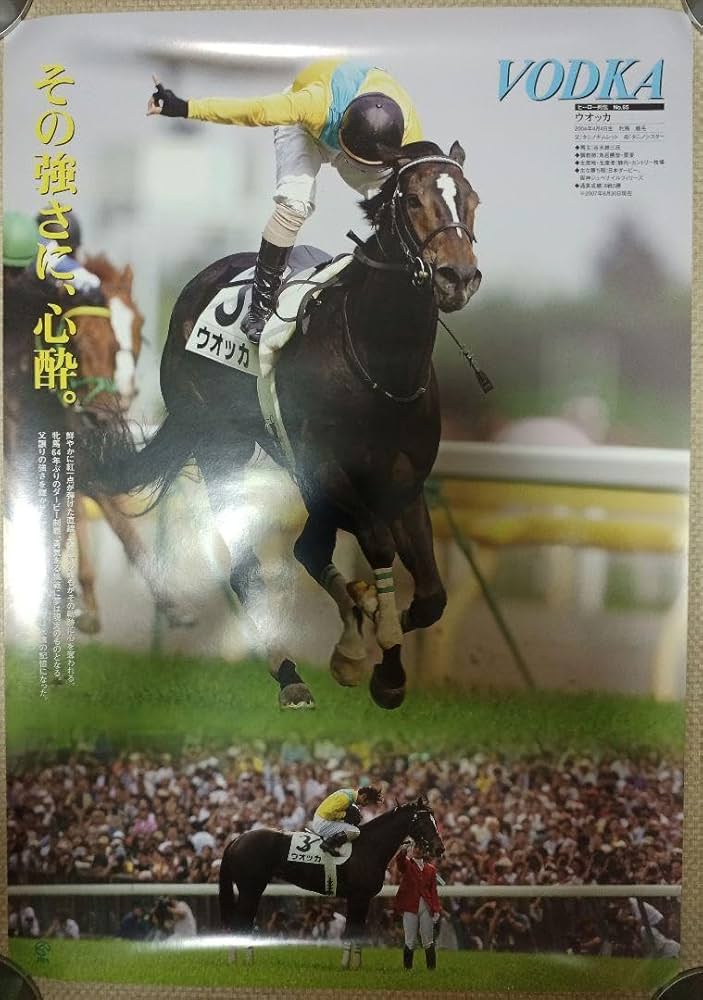 ヒーロー列伝 ウオッカ ポスター 希少 B3 JRA 競馬 2007 No.65 Amazon