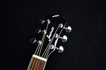 Amazon | James J-450D/Ova Black アコースティックギター エレアコ