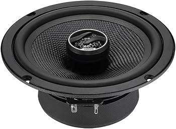 Amazon.com: DS18 ZXI-5254 5.25