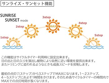 Amazon.co.jp: HaruDesign 植物育成RGB LEDライト SOLARIS8000 CT