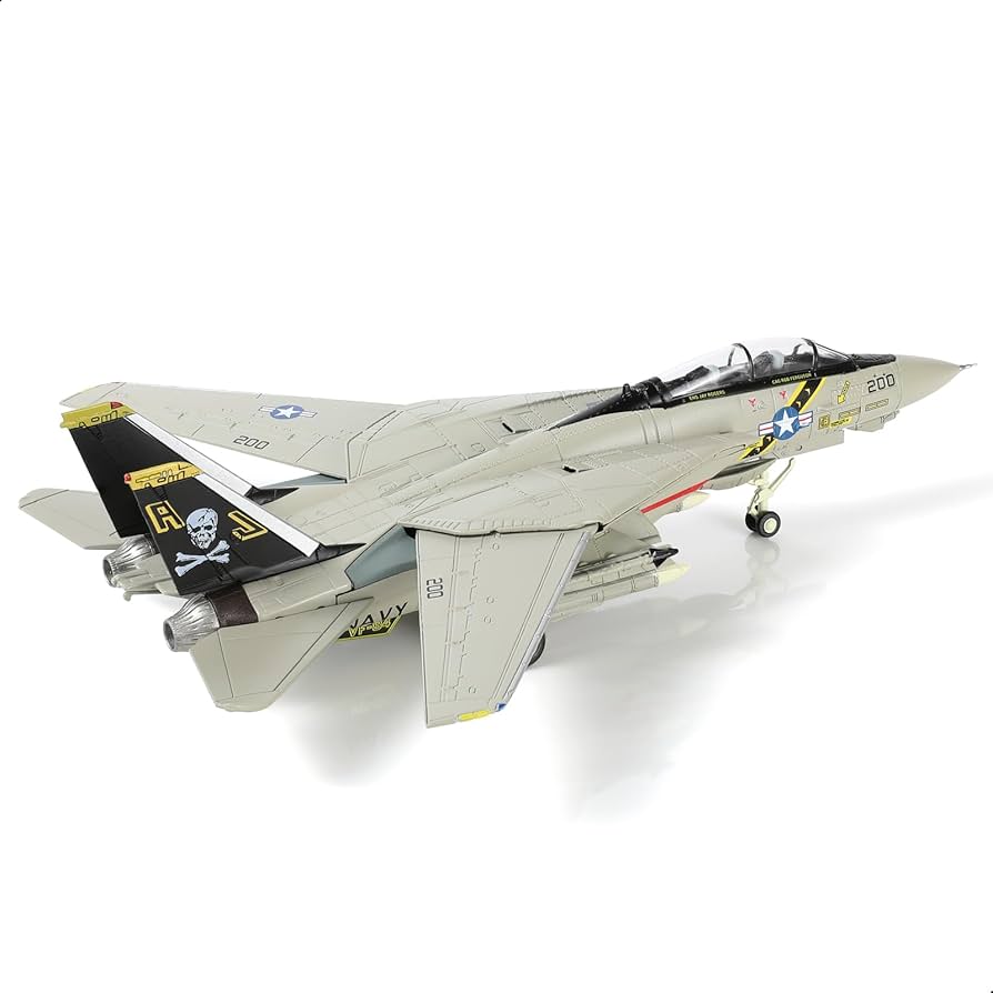 Amazon.co.jp: NUOTIE 1/100 F-14 トムキャット戦闘機 模型 戦闘機