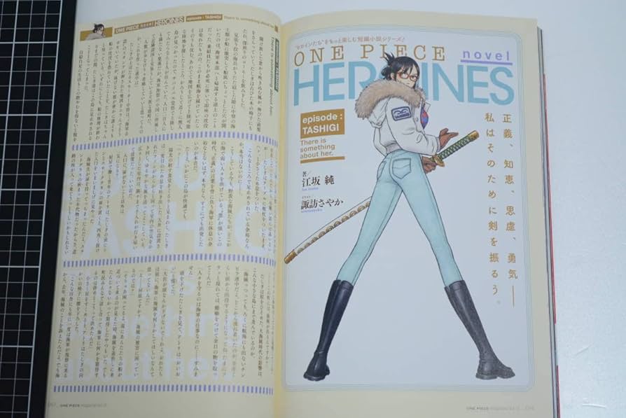 ワンピースマガジンVol.10 懸賞当選品 特製クリアファイル ワンピース