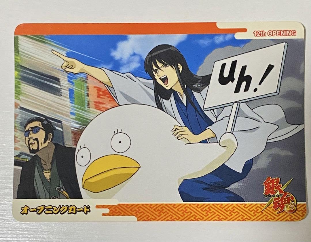 銀魂カード桂エリザベス攘夷202501182202