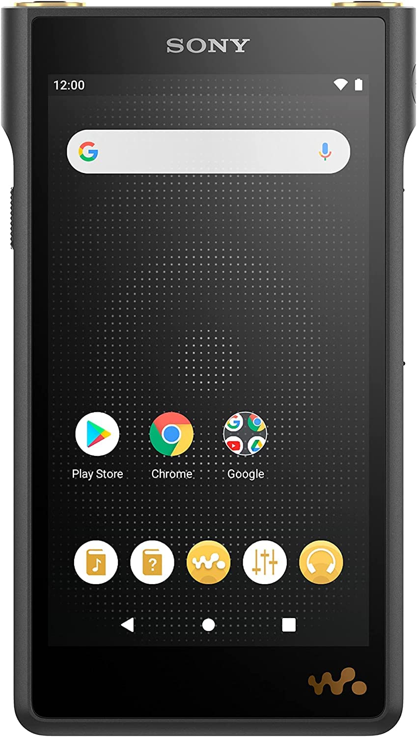 Amazon.com: Sony NW-WM1AM2 Hi-Res 128GB Walkman Digital MP3 Music