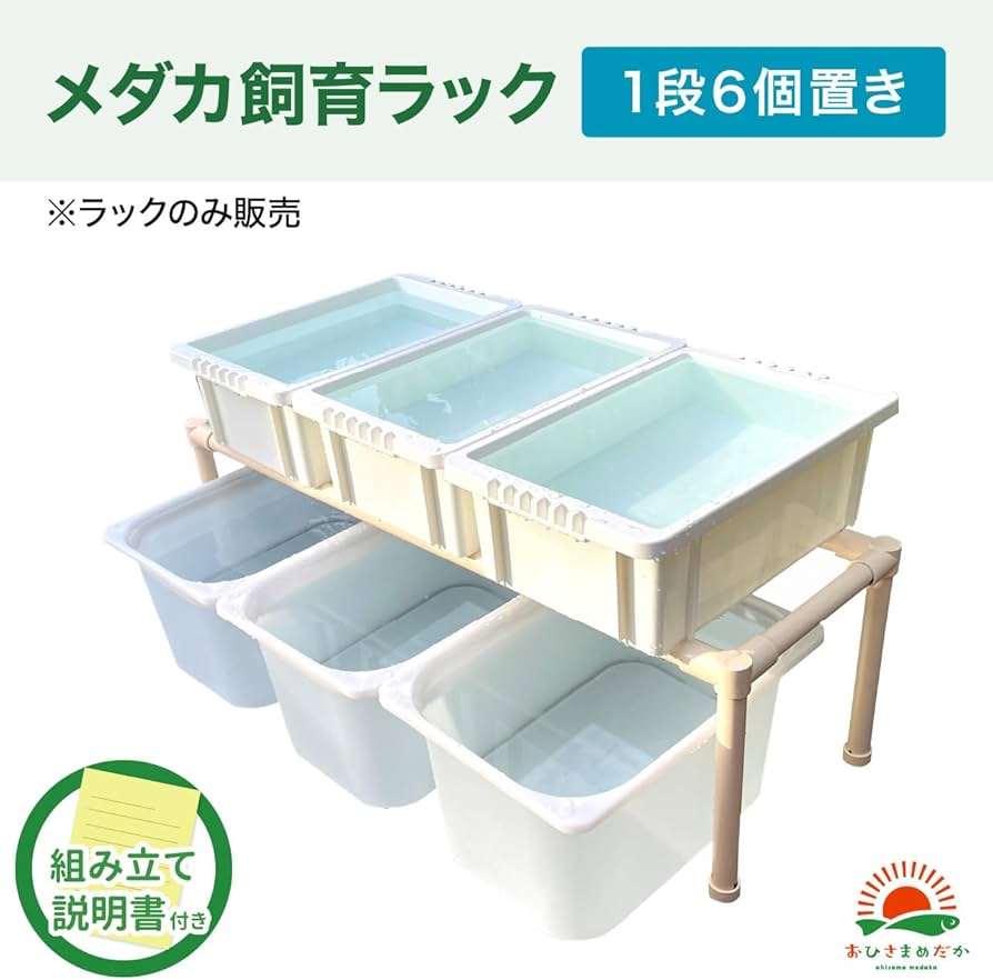 ☆メダカ飼育ラック白2段12個置き☆ めだか飼育ケース産卵撮影