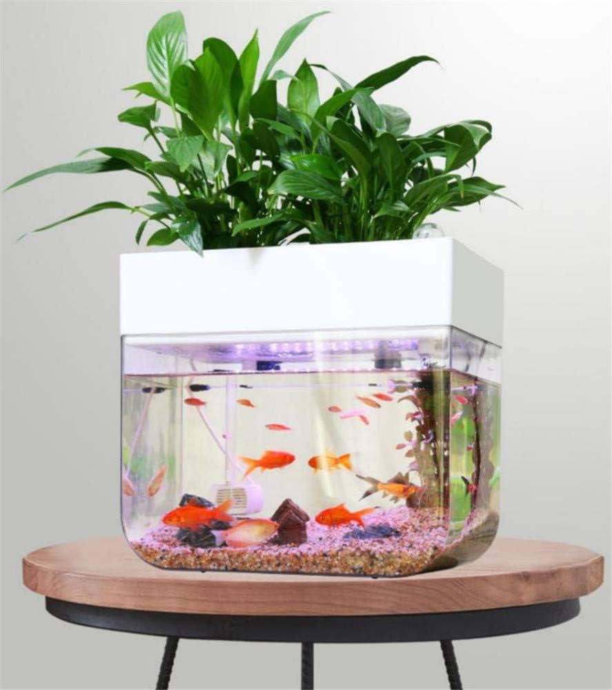 すぐ始められる！！上部濾過式アクアポニックス水槽アクアリウム水槽