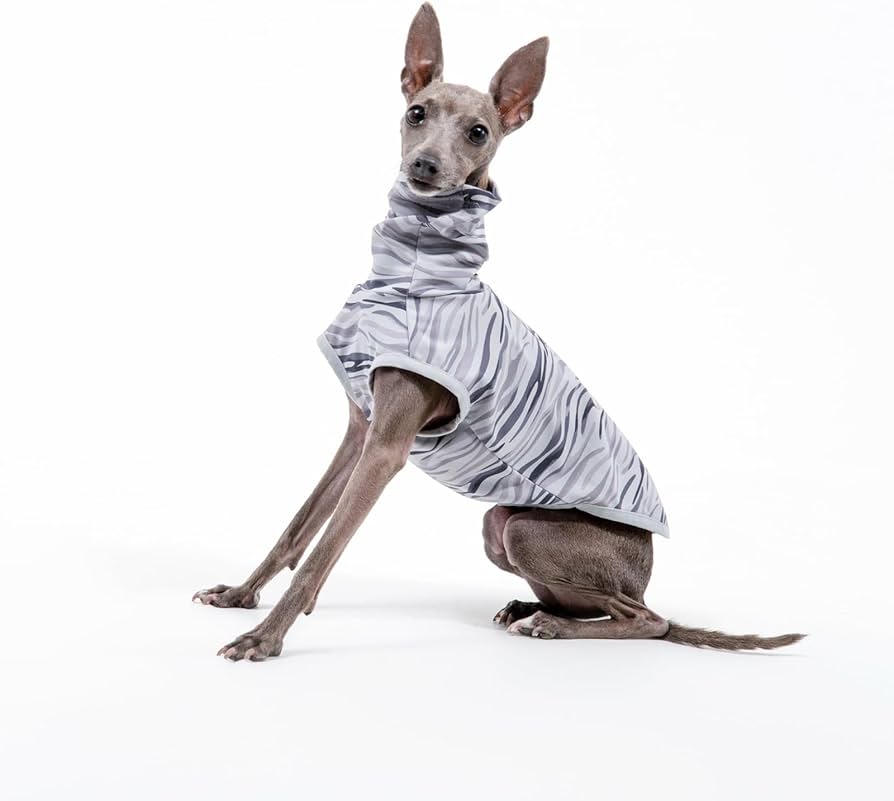 Amazon | [FRENCH FRENCH] イタリアングレーハウンド ミニピン 服 夏服