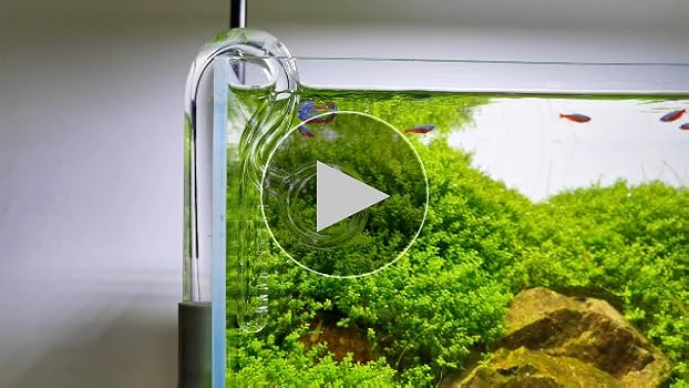 Amazon | リリィパイプ スピン 出水 小型水槽用 (直径10mm: 9/12mm