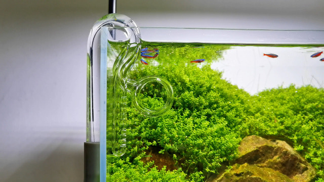 Amazon | リリィパイプ スピン 出水 小型水槽用 (直径13mm: 12/16mm