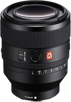 Amazon.com : Sony FE 50mm F1.2 GM Standard Prime Lens (SEL50F12GM