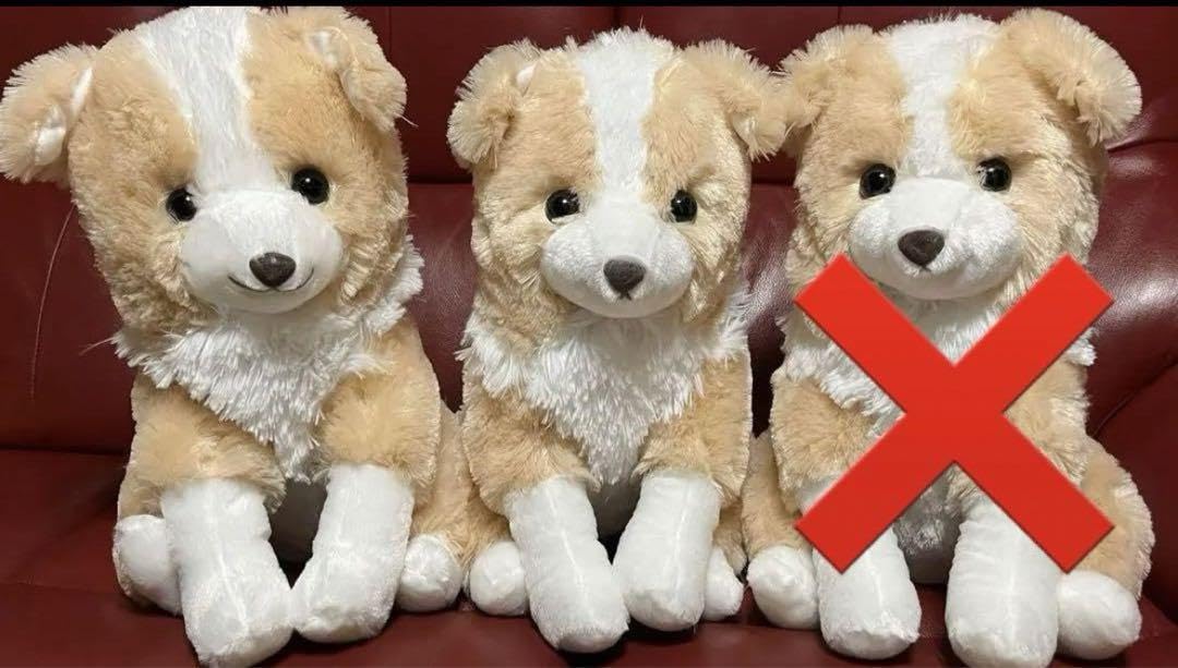 くったりボーダーコリー おりこうさん STコンプリート ≪1月の新商品