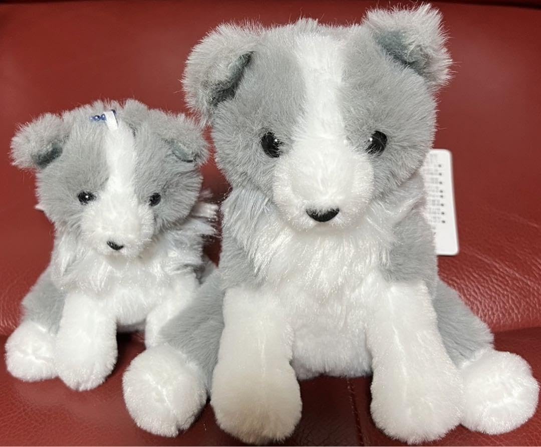 くったりボーダーコリー おりこうさん ST 【新キャラ】セット くったり