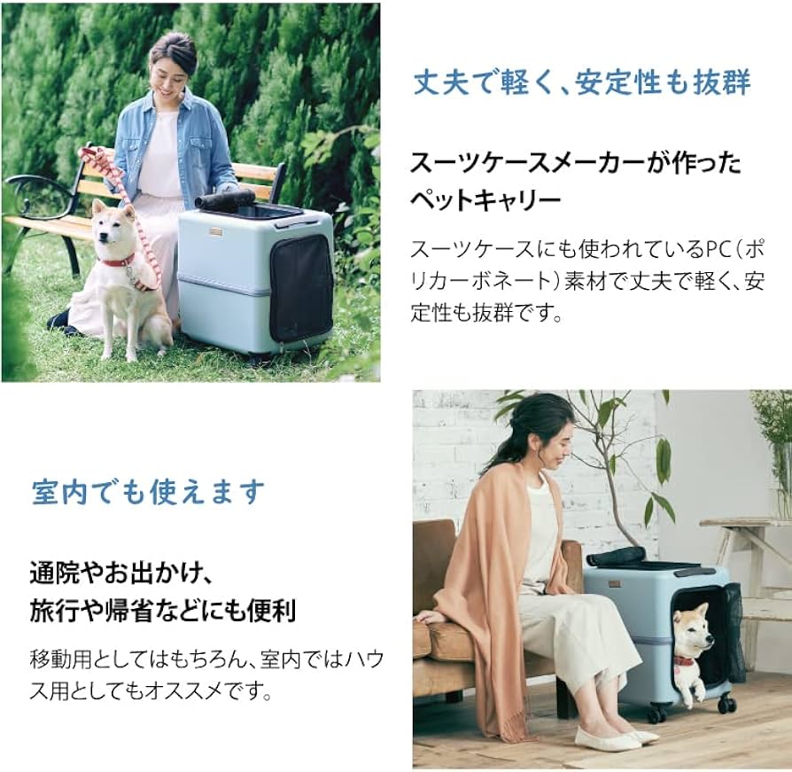 PETICO Lサイズ3点セットクッション、レインカバー付きブルー✖️ホワイト