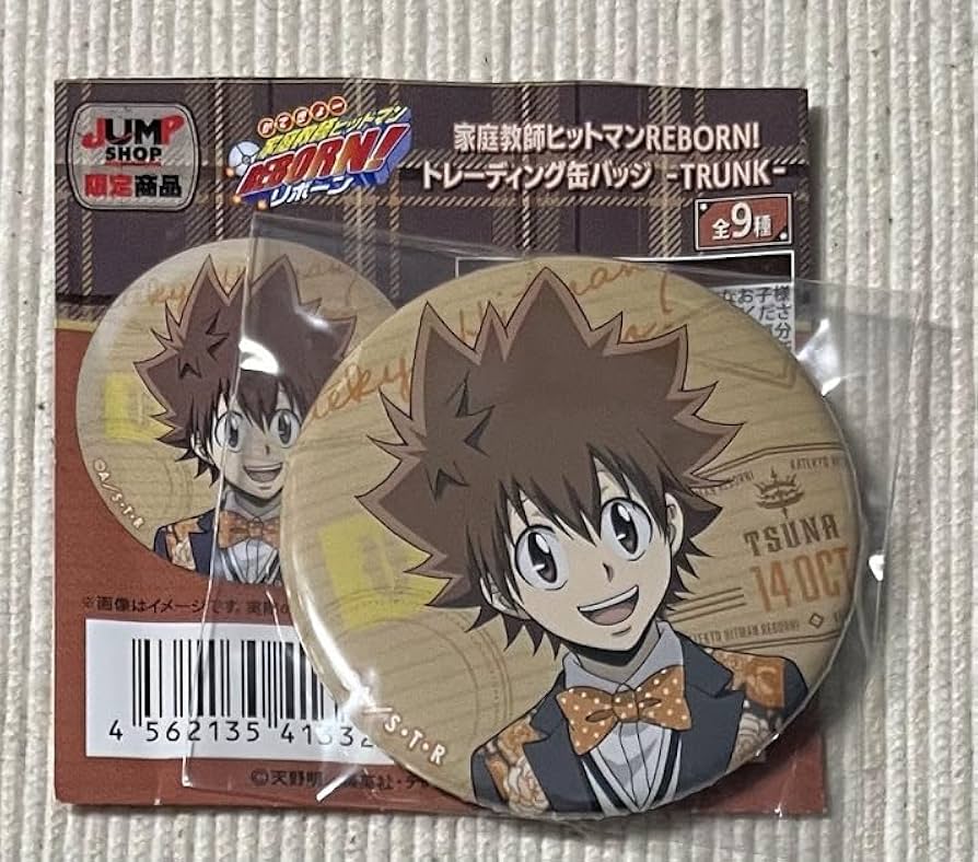 家庭教師ヒットマンREBORN ツナ 沢田綱吉 缶バッジ 家庭教師ヒットマン