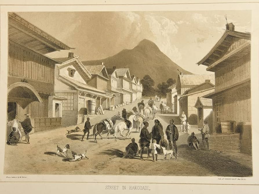 Amazon.co.jp: ペリー提督日本遠征記より「函館の街並み」1856年発行