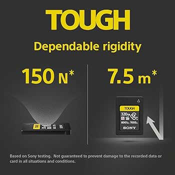 Amazon.com: Sony CFexpress Type A Memory Card 320GB : Electronics