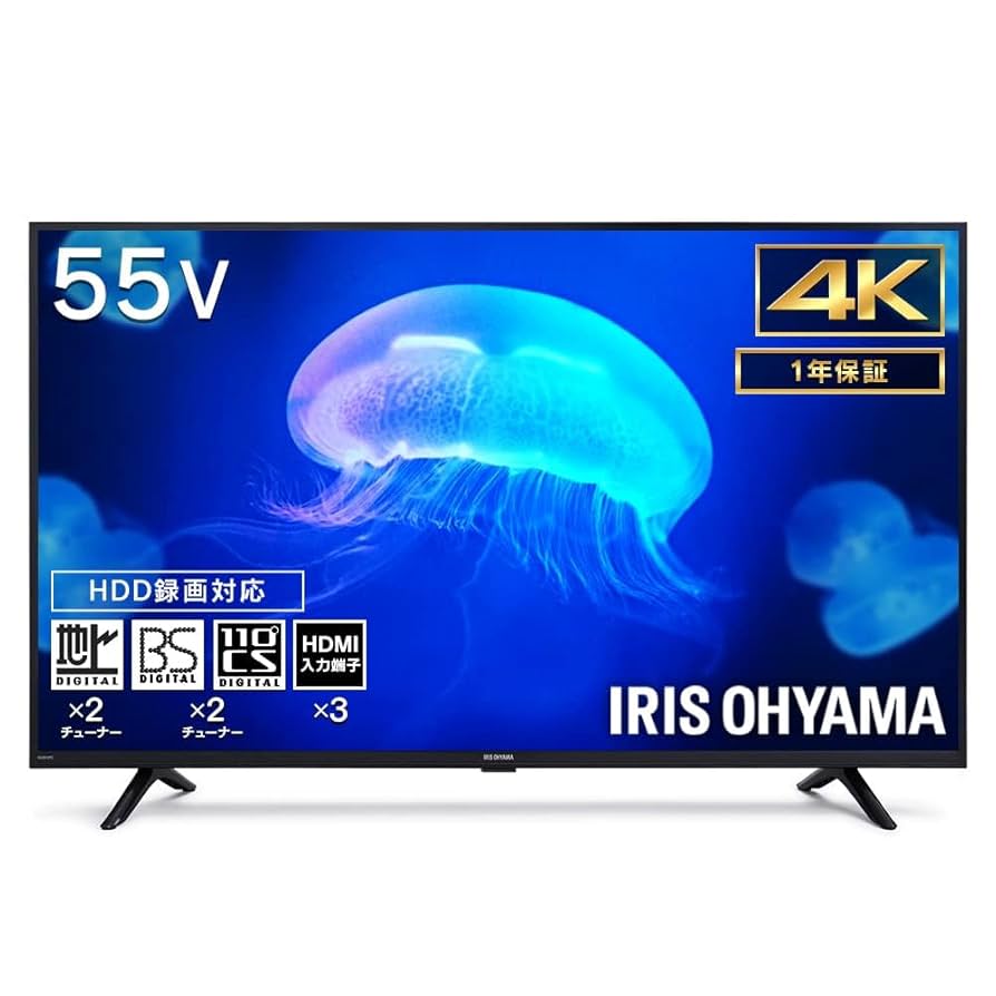 美品】アイリスオーヤマ 55V型 4K液晶テレビ 55UB10PC（2022年式