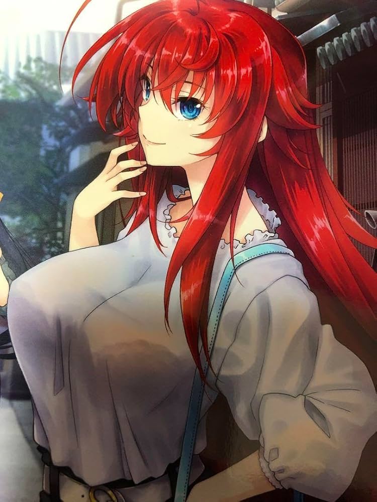 ハイスクールD×D ⑤ ゲーマーズ 特典 ブックカバー NOT FOR SALE