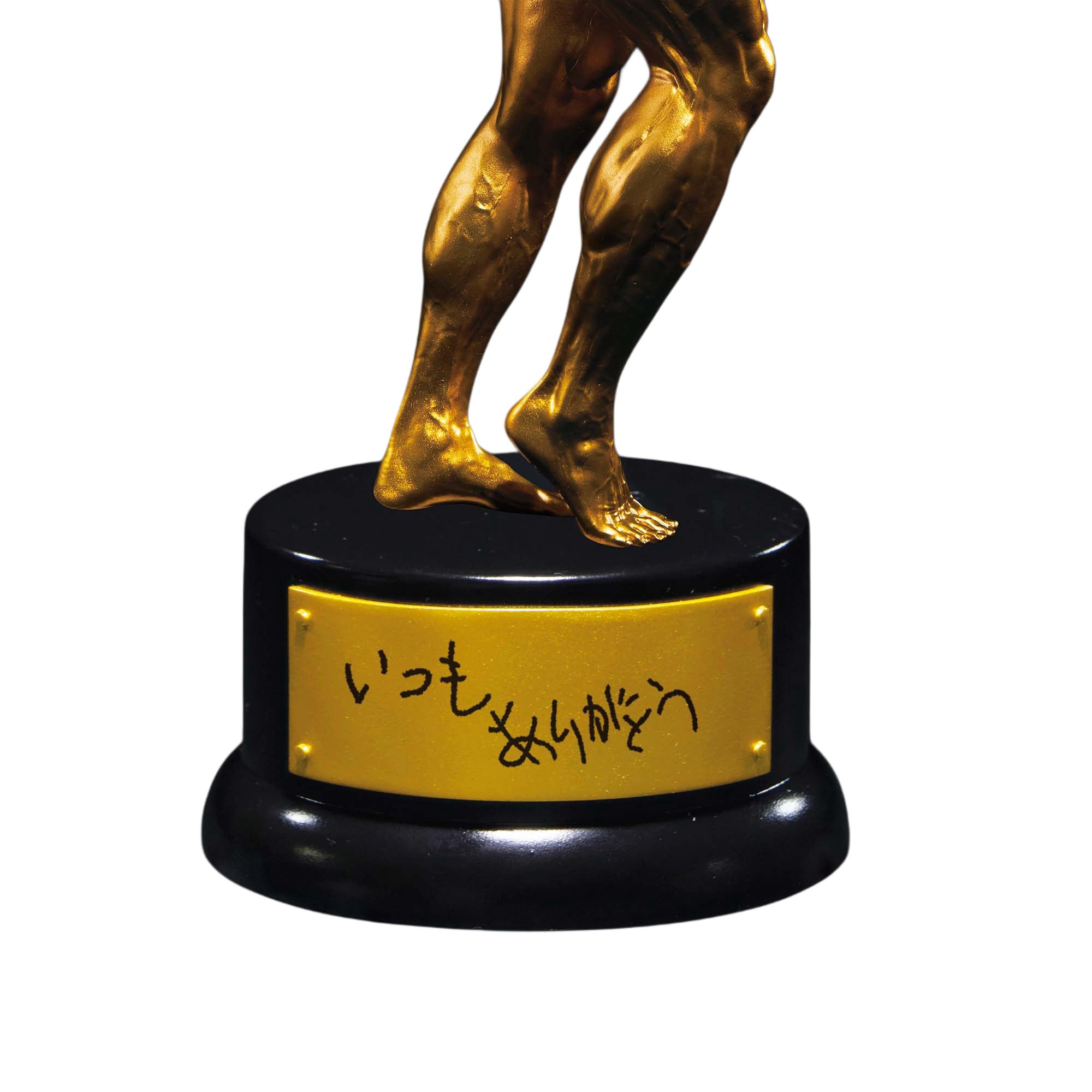 なかやまきんに君 りそうの姿トロフィー 全3種×2体(6体セット