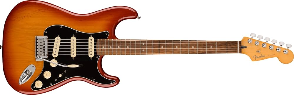 Fender Player Plus Stratocaster Electric Guitar - Sienna Sunburst