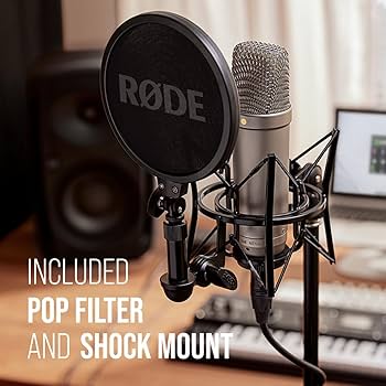 Amazon | RODE Microphones ロードマイクロフォンズ NT1-A