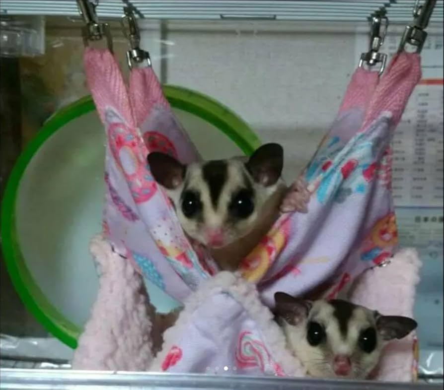 モモンガハウス（森のきつね)ボアベージュ 2000円