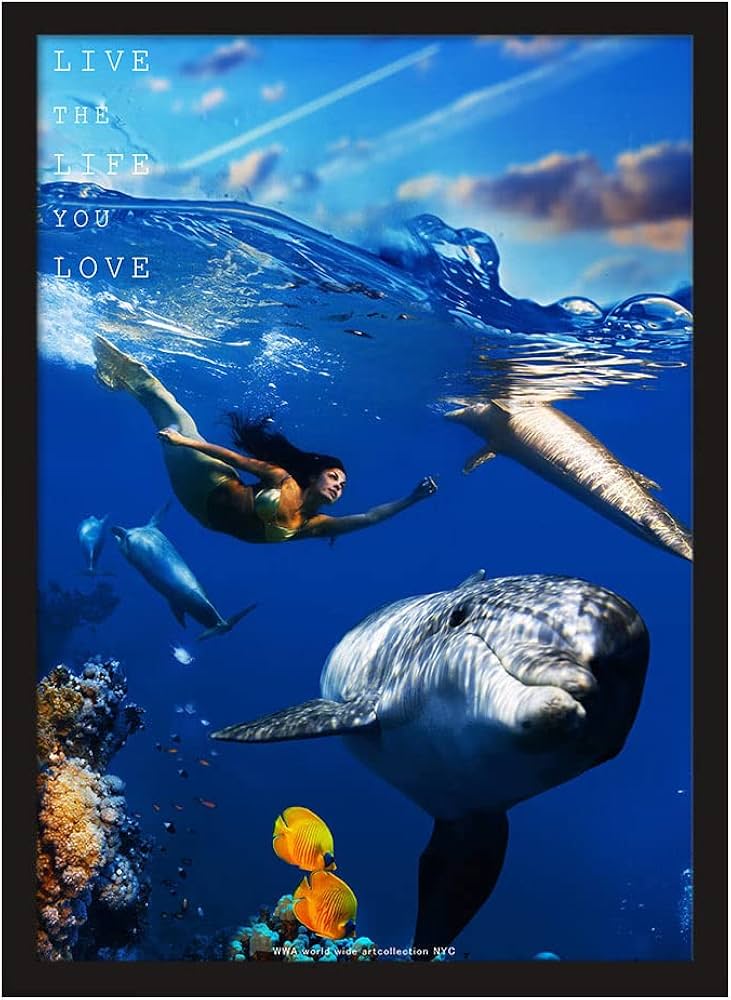 B2サイズ（約51x73cm）】【lm-poster-4463】【フレーム付き】クジラ