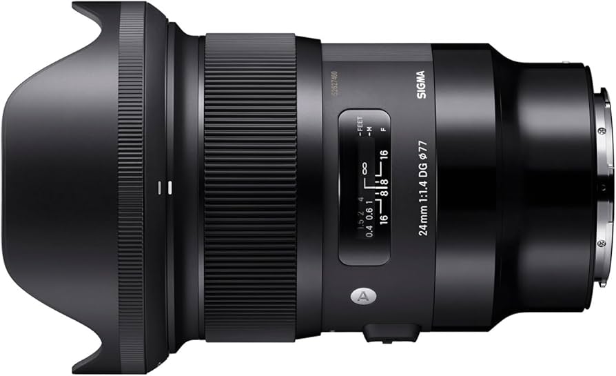 Amazon.com : Sigma 24mm F1.4 Art DG HSM for L Mount : Electronics