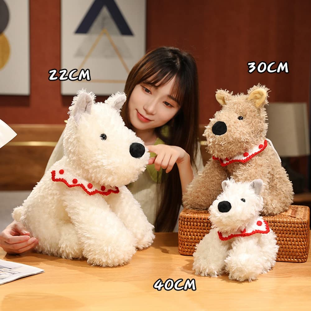 Amazon.co.jp: ウエスト・ハイランド・ホワイト・テリア リアル