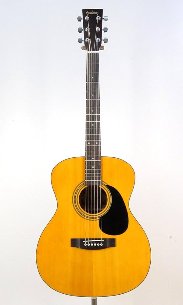 HEADWAY HF-45S 【HEADWAYヘッドウェイ】 アコースティックギター HF