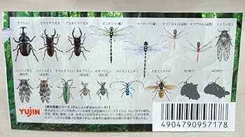 Amazon | 原色日本昆虫図鑑Ⅰ改訂増補版 オニヤンマ 雄 未使用