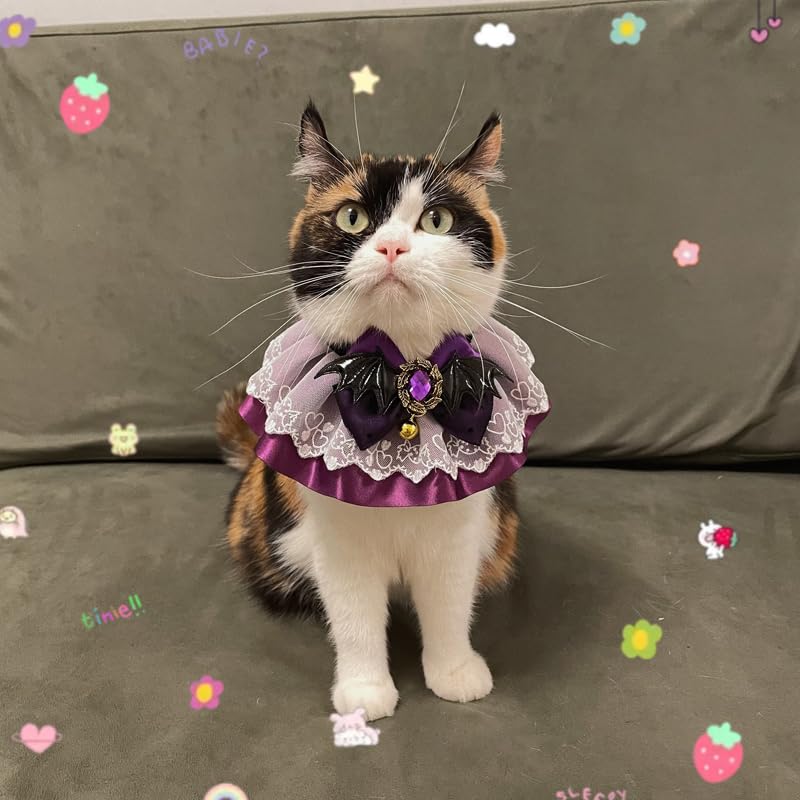 グラフィック猫首輪 黒猫のハロウィン パープル｜ぽぽねこ公式