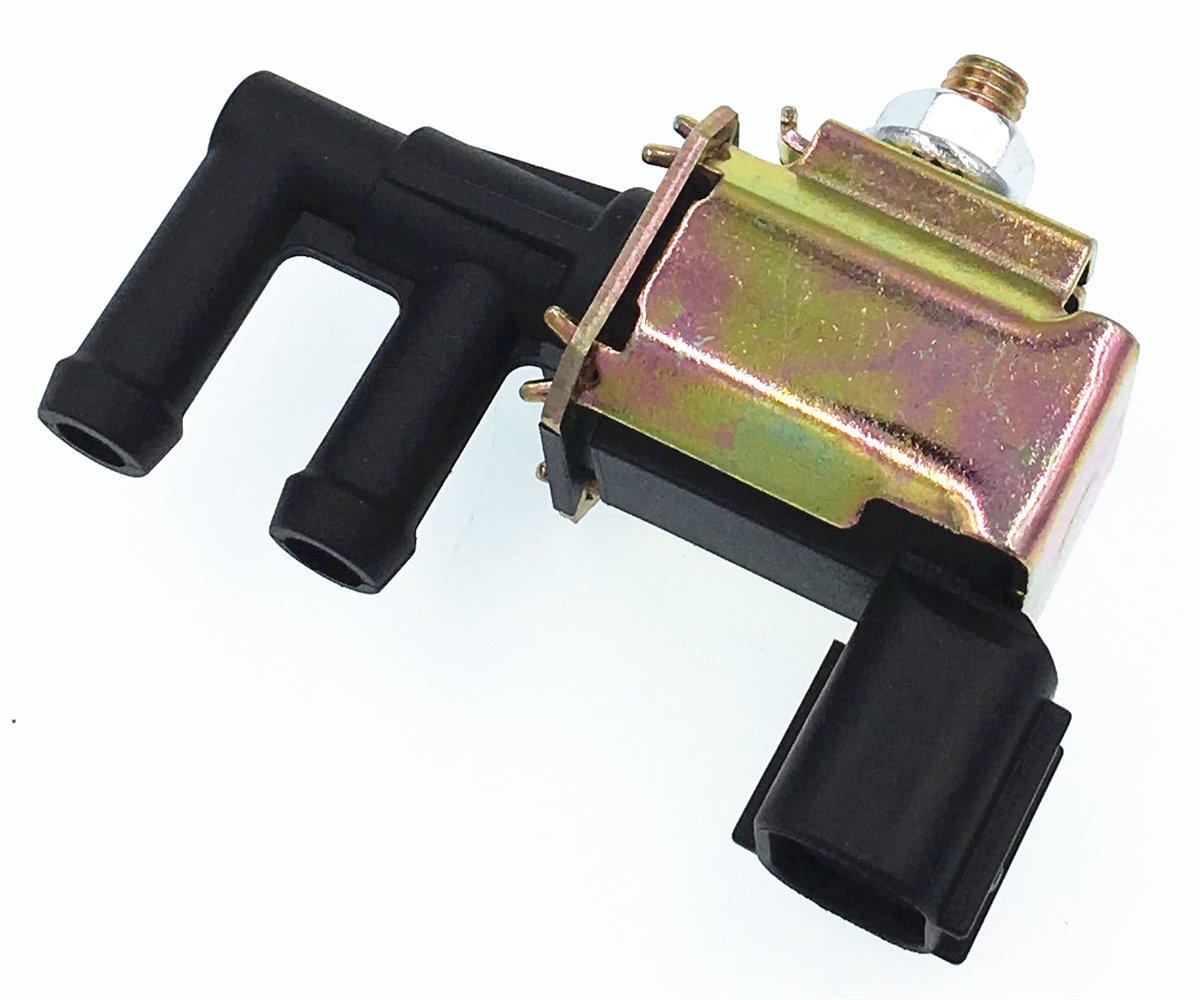 わがやのテントM （グランドシートお付けします）斉藤孝 花