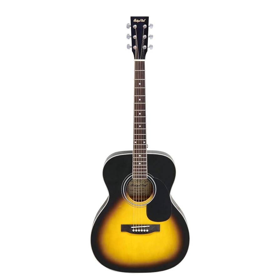 Antique Noelアコースティックギター 黒青