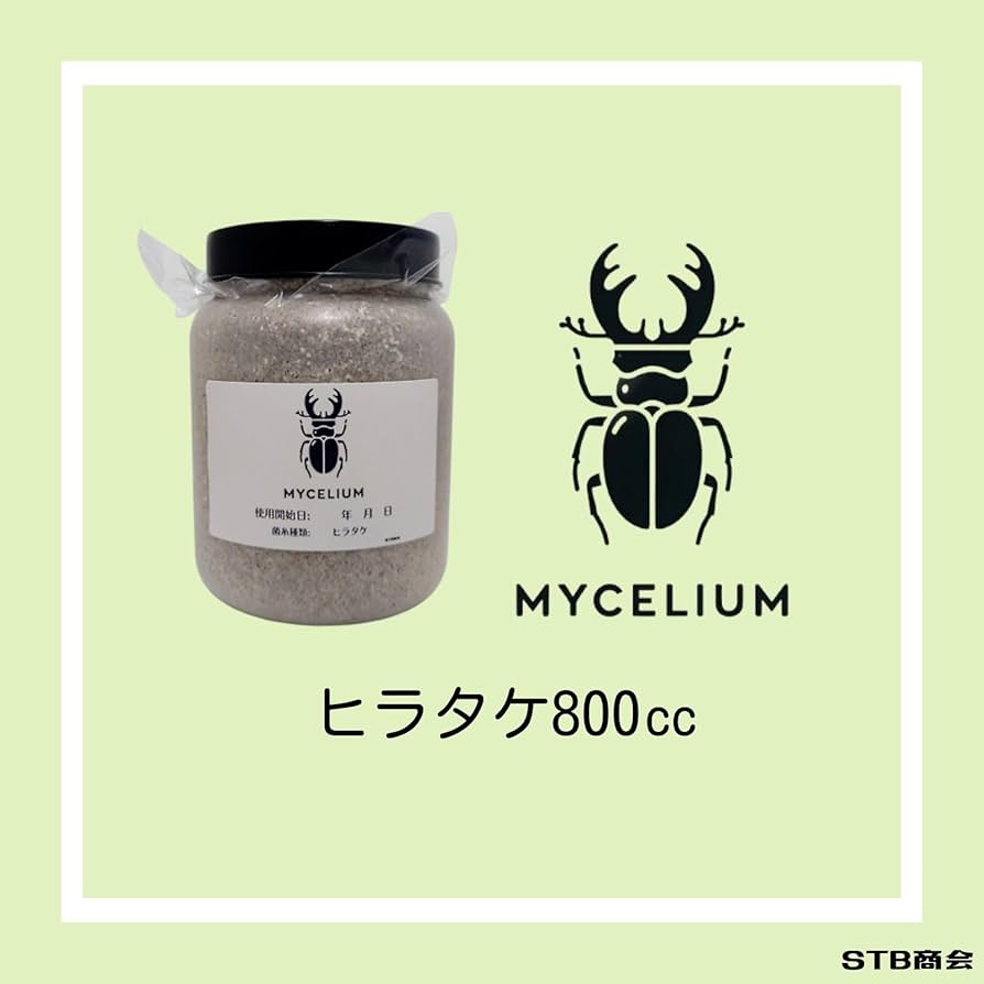 Amazon | 菌糸ビン800cc ヒラタケ 一次発菌 乳白色ボトル クワガタ幼虫