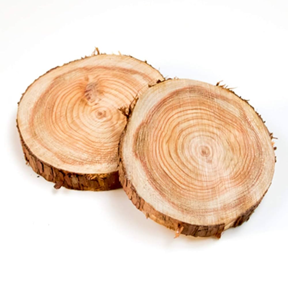 一枚板 切り株 ナチュラルウッド 特大43cm 樹齢約80年 ハンドメイドC