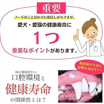 和漢 みらいのドッグフード マウスクリーンパウダー 計4袋セット 和漢