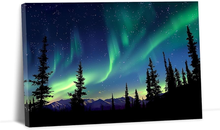 Amazon.co.jp: YMXZHUANSH オーロラ キャンバス ウォールアート