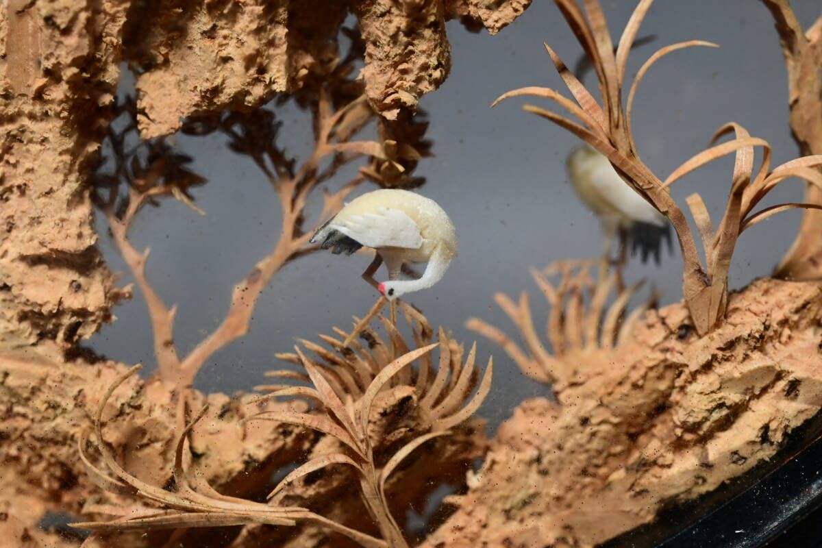 Amazon.co.jp: 中国美術コルク細工細密彫刻楼閣山水松鶴置物ガラス