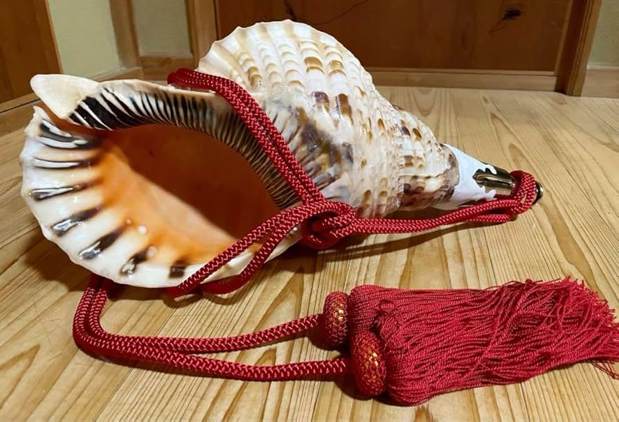 大型39㎝修験道法螺貝山伏密教魔除け熊よけ❣️ホラガイほら貝