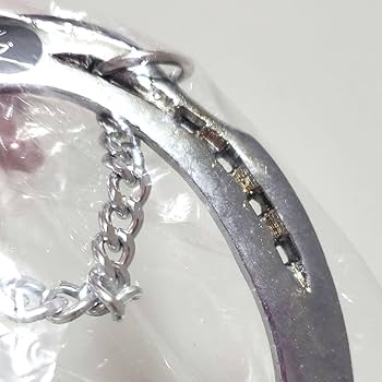 Amazon.co.jp: オグリキャップ 蹄鉄 壁掛け 優駿スタリオン