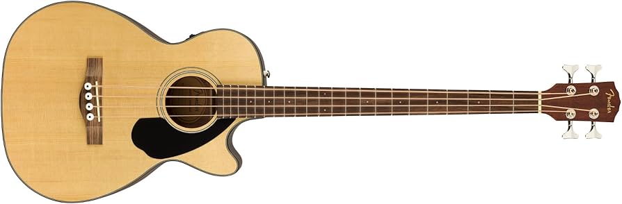 Amazon.com: Fender CB-60SCE Acoustic Bass, with 2-Year Warranty