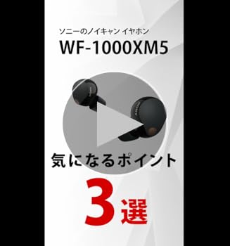 Amazon.co.jp: ソニー(SONY) ワイヤレスノイズキャンセリングイヤホン