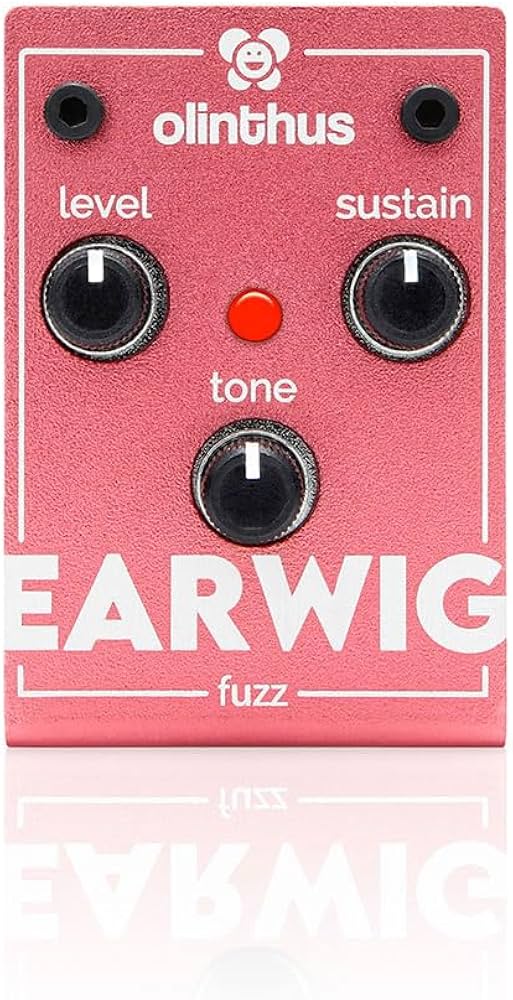 Amazon.com: Olinthus Olinthus Earwig Fuzz – World's Smallest